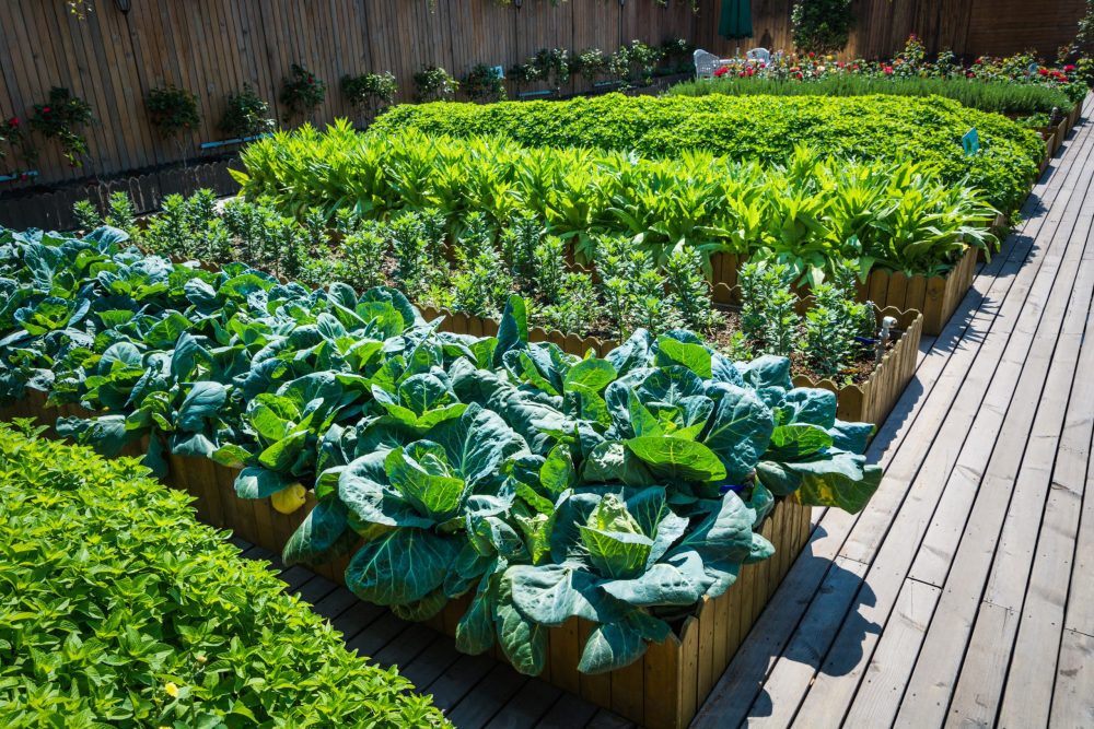 vegetables-scaled